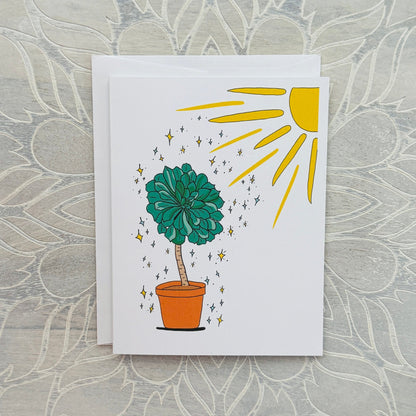 sunshine and succulents Sunshine on Succulent greeting card – Lemon Grove Wellness